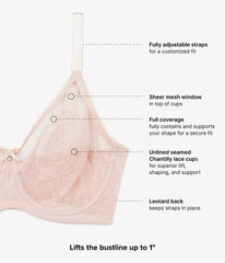 Retro Chic Full Figure Underwire Bra: Rose Dust